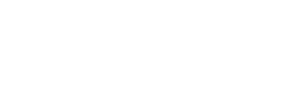 Naber Powersports logo alt